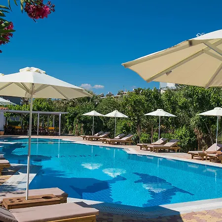 Hotel Enorme Armonia (adults Only) 4*